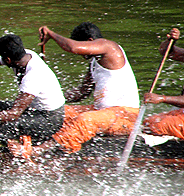 Payippad Boat Race